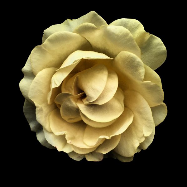 مهراج من دلم شکسته از خیلیا